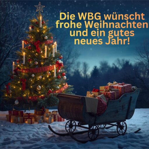 Frohe Weihnachten und ein gutes neues Jahr 2026!